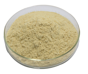 Doğal bitki özü Ginseng özü 10% 50% CAS 41753-43-9 <span class=keywords><strong>Ginsenoside</strong></span> <span class=keywords><strong>Rb1</strong></span> - Product Image 3