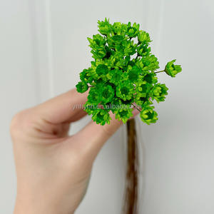 Stella brasiliana fiori secchi conservati fiori piccola montagna margherita corona popolare decorazioni di natale e ringraziamento - Product Image 5