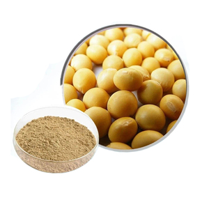 Extrait <span class=keywords><strong>de</strong></span> soja naturel poudre d'isoflavone <span class=keywords><strong>de</strong></span> qualité alimentaire santé supplément liquide à base <span class=keywords><strong>de</strong></span> plantes <span class=keywords><strong>de</strong></span> l'emballage <span class=keywords><strong>de</strong></span> sac <span class=keywords><strong>de</strong></span> <span class=keywords><strong>feuille</strong></span> <span class=keywords><strong>de</strong></span> soja cultivé à l'état sauvage - Product Image 3
