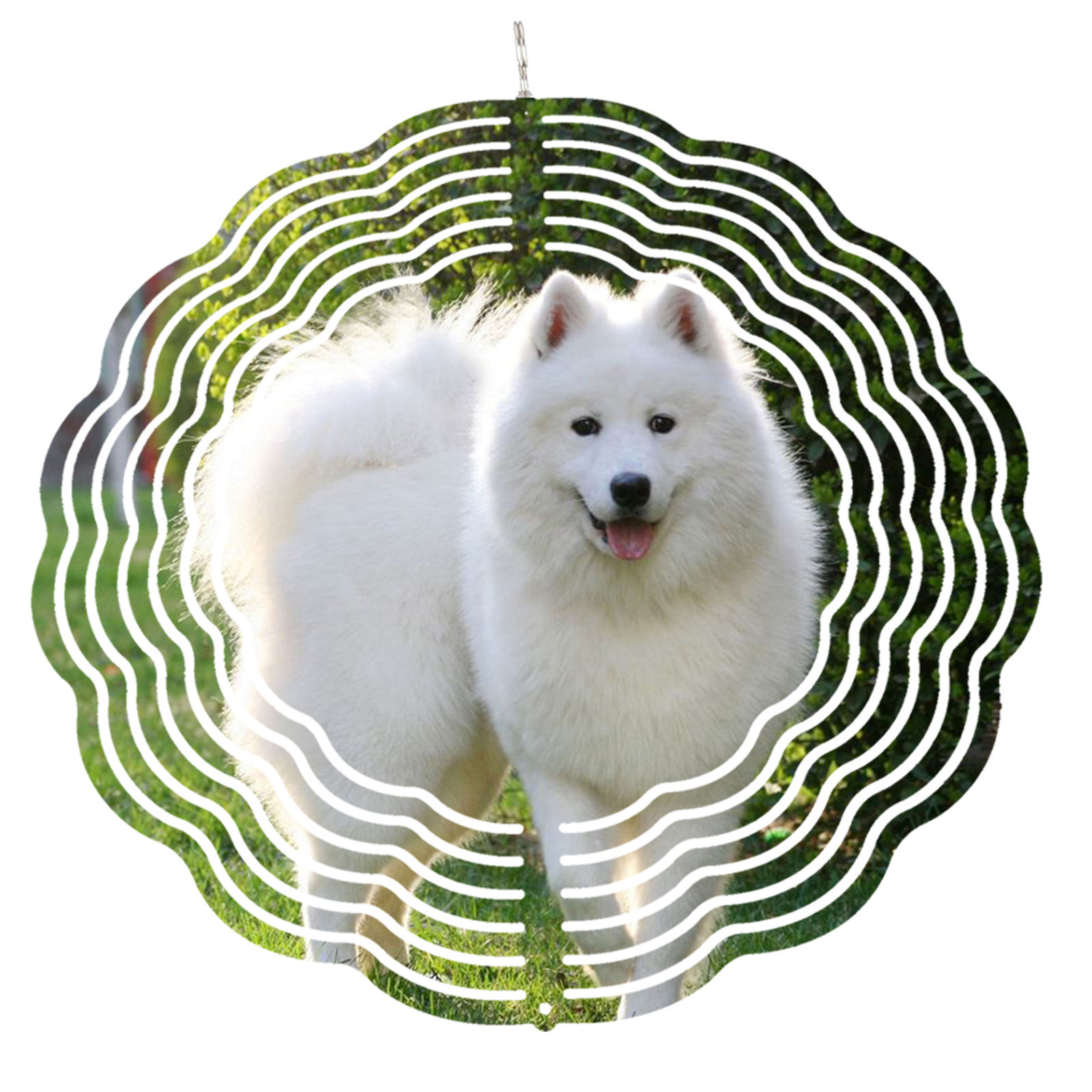 10นิ้วสองด้าน