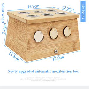 Grosir penjualan laris 2025 desain baru kotak set terapi <span class=keywords><strong>moxa</strong></span> gantung portabel kotak <span class=keywords><strong>moxa</strong></span> kayu terapi moxibustion - Product Image 4