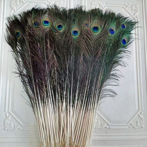 Vente en gros 25-140cm plumes <span class=keywords><strong>de</strong></span> <span class=keywords><strong>paon</strong></span> naturelles plumes <span class=keywords><strong>de</strong></span> queues <span class=keywords><strong>de</strong></span> <span class=keywords><strong>paon</strong></span> pour montage <span class=keywords><strong>de</strong></span> mouches, carnaval sac à dos Costume décorations pour la maison - Product Image 5