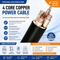 Cable de Alimentación de Cobre de 0.6/1kV YJV 3+1 Núcleos, Aislamiento XLPE, 3 Fases, 4 Hilos, Cable de Distribución Eléctrica de Bajo Voltaje para Uso Industrial