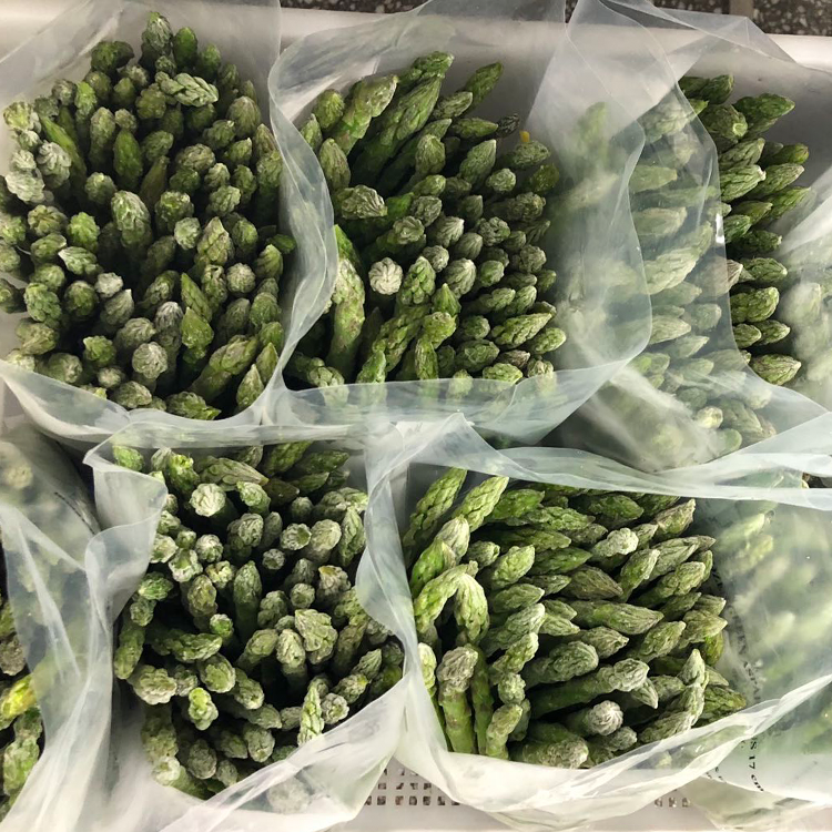 High Quality IQF Frozen Organic Green Asparagus Freshly Processed From Greenhouse Whole Part Good Price for Sale