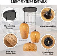 Lustre d'art en rotin de tissage de bambou a mené le lustre en bambou de lumière pendante en bambou