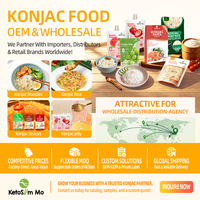 OEM High Protein Konjac Noodles Curry Chicken Flavor Instant Noodles Private Label Manufacturer