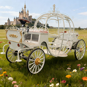 Hermosa Carruaje de Cenicienta Personalizada a Color, Carruaje de Calabaza Navideño de Alta Calidad, Encantadora Carruaje de Cenicienta - Product Image 5