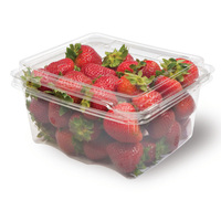 Boîte d'emballage en plastique transparente pour fruits, 125g, 250g, 500g, pour fruits, baies, fraises, myrtilles, conteneur à clapet avec trous