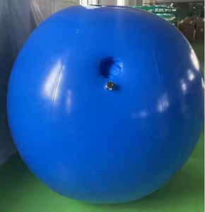 Ballon gonflable Myrtille en nylon, modèle vestimentaire, style original et intéressant, best-seller Waterhan Event FFT1001M - Product Image 5