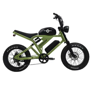 Yetişkinler için elektrikli motosiklet 1000W elektrikli bisiklet 48V yağ lastik e-bisiklet elektrikli bisiklet dağ Ebike
