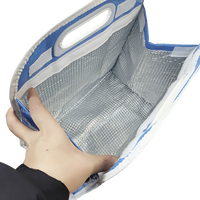 Nouveau modèle Sac isolant style velcro Sac à emporter en feuille d'aluminium isolée non tissée écologique PP