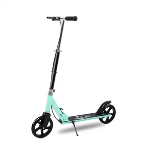 Quzoor Factory Outlet Chất Lượng Cao Chassis 2 Bánh Xe Scooter Trẻ Em Kick Đẩy Xe Tay Ga