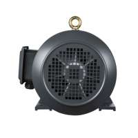 Moteur triphasé 380V/660V à usage général, moteur à induction AC 5 CV pour machine de lavage de voitures