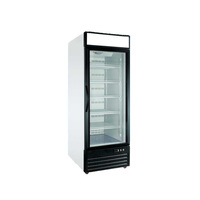 Réfrigérateur vitrine vertical d'occasion pour boissons, réfrigérateur commercial, mini-réfrigérateur de supermarché, réfrigérateurs compacts