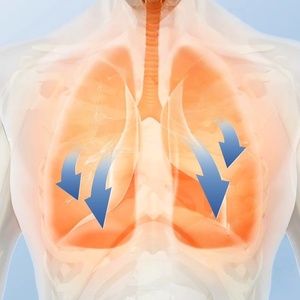 New Products Medical <strong>Inhaler</strong> Machine Portable DC Nebulizer Hot Sell Portable Nebulizer - Product Image 2