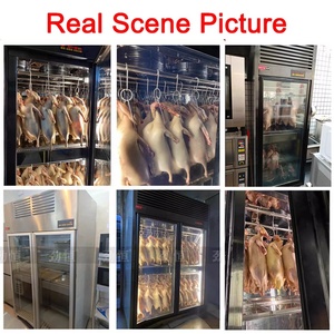 Réfrigérateur commercial intelligent pour la viande et la volaille avec dégivrage automatique et temps de séchage de 6 à 24 heures XDF-1D-01 Fo - Product Image 6