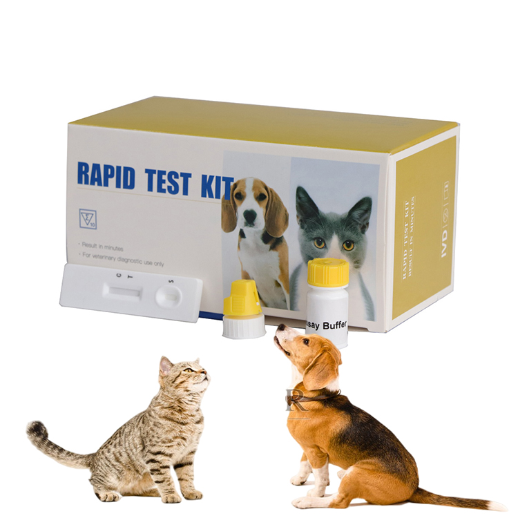 Kit de prueba rápida de anticuerpos de Leptospira canina para perros, kit de prueba rápida de Leptospira para perros, kit de prueba veterinaria Para perros mascotas