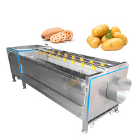 Industriële automatische voedselverwerker fruit- en groentewasmachine gember- en cassavewasmachine