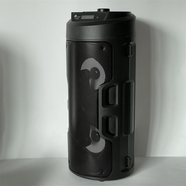 Portable Wireless Speaker with Double Subwoofer Heavy Bass, FM Radio, Lights, EQ, Loud St