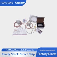 En stock, vente chaude : Allumeur automatique pour chaudière à granulés de biomasse (huile légère/diesel/kièrosène/huile biologique)