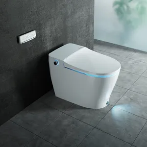 DB80 Wand-Smart-WC-Set automatisches Keramik-Jet-Spray längliches Bidet für Badezimmer Luxushotel