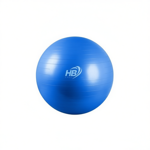 Pelota de Yoga Lisa de 55 cm y 600 g para tu Práctica - Product Image 1