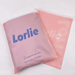 Wholesale Custom Logo Frosted Plastic Bag Clothes Zip Lock Self Sealing Bag Clothing Packaging Frosted Zipper Bags Printed Logo