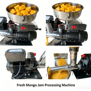 Machine à sauce tomate automatique compacte, la plus vendue, durable, pour la fabrication <span class=keywords><strong>de</strong></span> confiture <span class=keywords><strong>de</strong></span> fruits <span class=keywords><strong>maison</strong></span> - Product Image 3