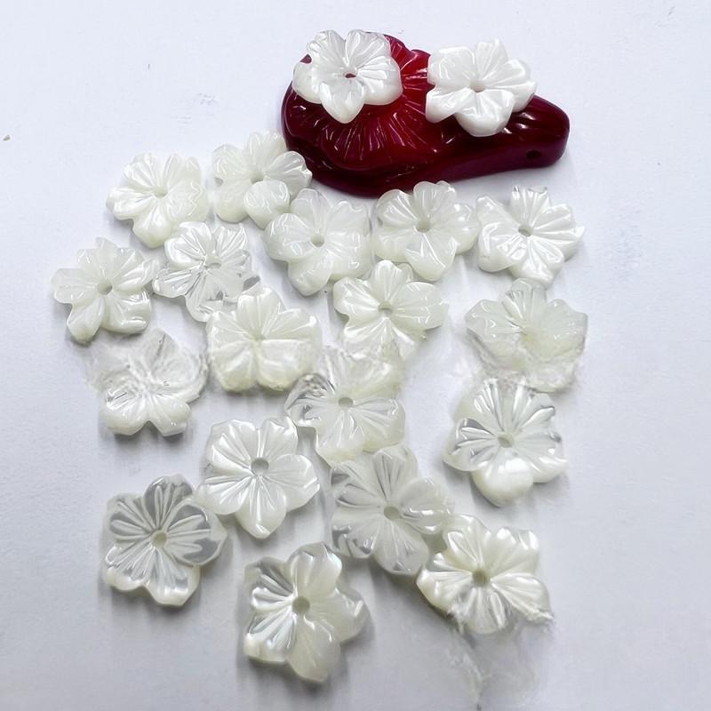 How to Choose the Best Shell Flower: Buying Guide & Tips