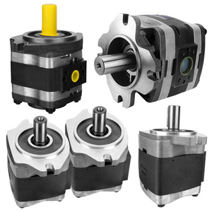 内接歯車ポンプ IPC/IPVP/IPV4-/13/16/25/32-101/171 IPV5/-64/171 油圧ギアオイルポンプ - Product Image 4