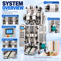 Machine d'emballage de poudre sèche à double circuit DEEPACK pour des opérations de conditionnement coordonnées de sachets avec contrôle de remplissage et scellage de film