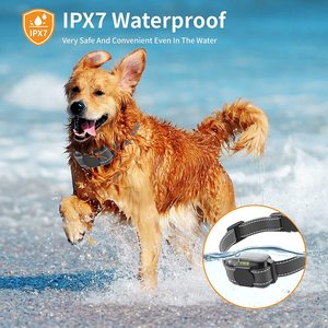 <span class=keywords><strong>Collar</strong></span> eléctrico remoto para entrenamiento de perros, pantalla LCD grande, impermeable y recargable - Product Image 4