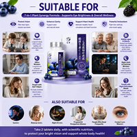 Tablet Lutein Blueberry Label Pribadi Vitamin C Ekstrak Panax Notoginseng Suplemen Herbal Pendukung Kesehatan Penglihatan untuk Dewasa