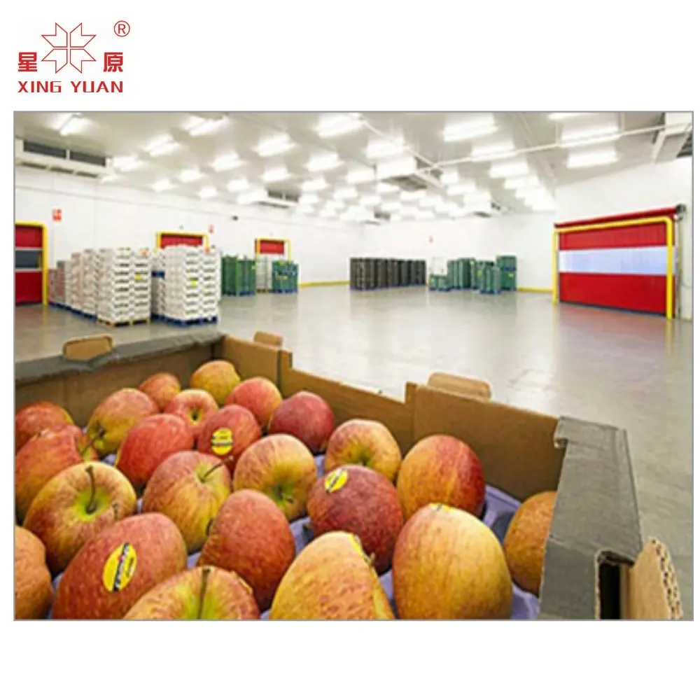 -5 ~ 5c armazenamento frio de frutas frescas para suco de apple, suco de laranja, fábrica de suco de tomate