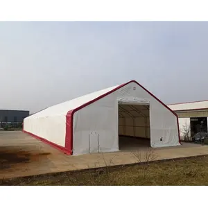 60'x100' Hot Sale Large Industrial Tent Warehouse Prefabricated Building