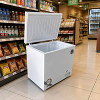 Congélateur coffre horizontal professionnel mini à température unique pour usage commercial, stockage direct et compact d'aliments surgelés, réglable