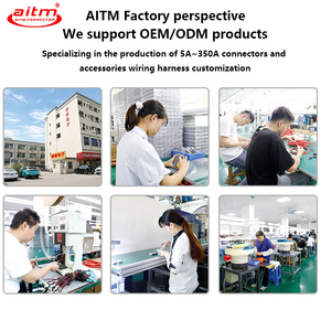 電源コネクタ 50A コネクタ 車用アイスボックスケーブル 16AWG 12V 24V ハイパワー車用冷蔵庫 シガーライター変換 - Product Image 6