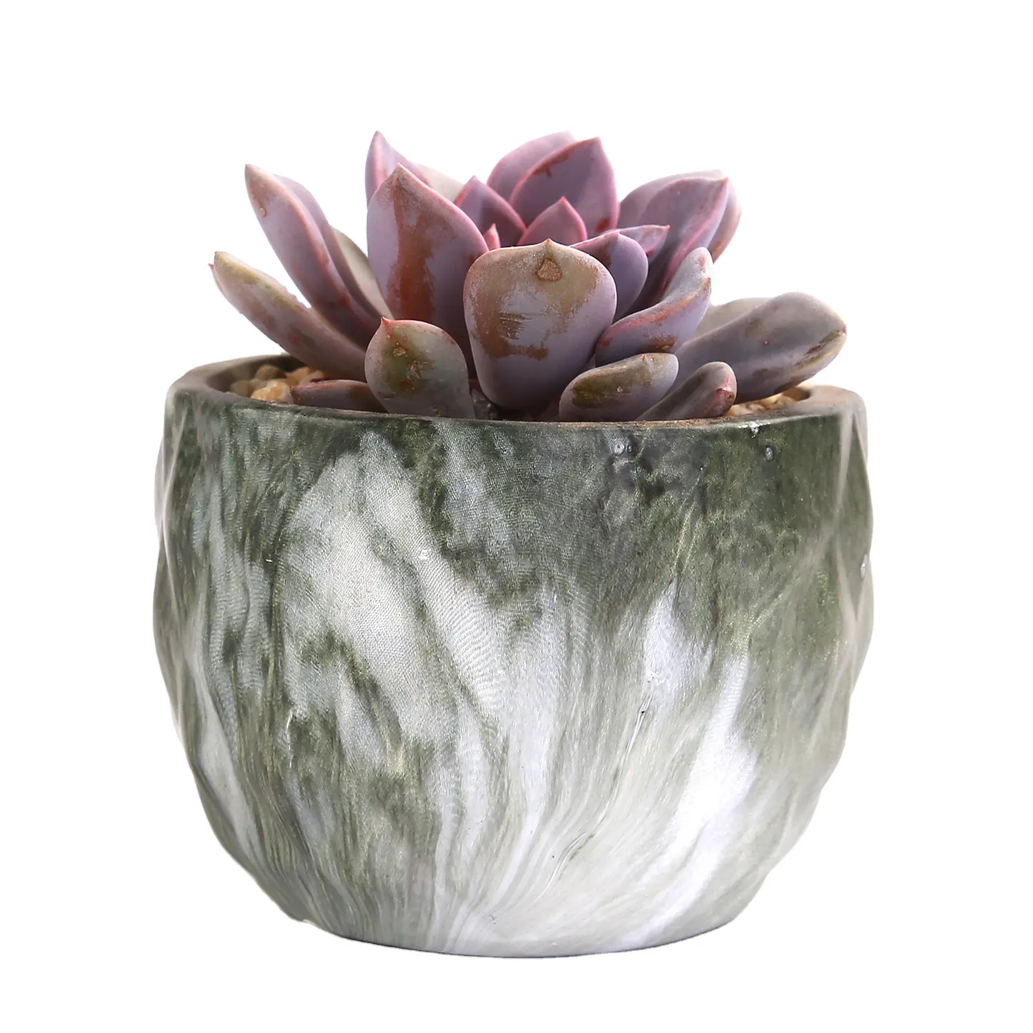 Simulation stone succulent flower pot new ageism succulent flower pot