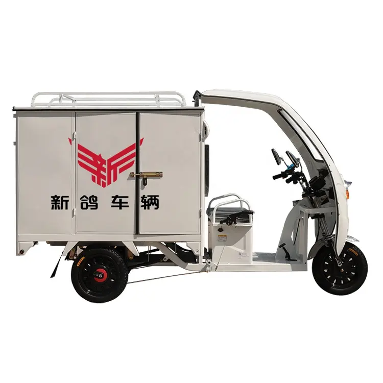 Factory Price Small Transportation Cargo Electric Motorcycle Tricycle 60V Closed Motorcycle Truck Mini Motorcycle 800W