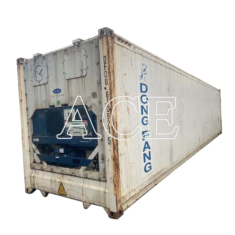 Used 40ft Reefer Containers Second Hand 40 Feet 40 ft Carrier Refrigerator Containers for Sale