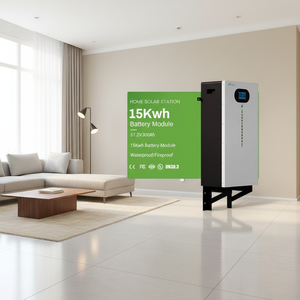 แบตเตอรี่ LiFePo4 8000 รอบการใช้งาน พร้อมระบบจัดการแบตเตอรี่ (BMS) 15kw 16KW 48V 51.2v 100Ah 200Ah 314ah แบตเตอรี่ลิเธียมไอออนแบบติดผนังสำหรับใช้ในบ้าน - Product Image 1