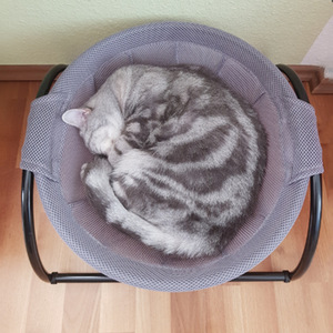 Cama Pequeña Universal para Mascotas, Hamaca de Malla Desmontable y Lavable para Gatos y Perros con Marco de Metal Transpirable, Cama Nido de Metal Fresco - Product Image 2