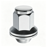 Yuhui Chrome Lug Nut with Washer 21hex 40mm M12*1.5/M14*1.5 New Condition for Cars Model WN701 OEM Supported