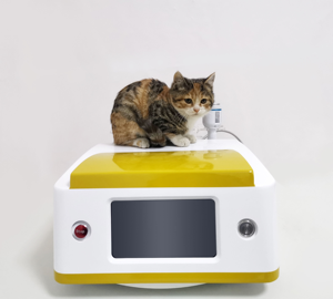 980nm Diodenlaser-Behandlungsgerät für Hunde-Arthrose & Hauterkrankungen Veterinärausrüstung mit 15W Leistung und Luftkühlung - Product Image 2