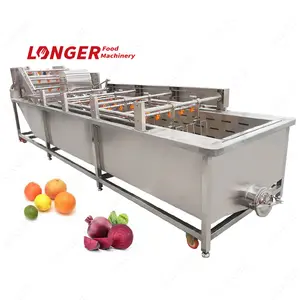 Industrial Automatic Citrus Fruit Vegetable Washer Beetroot Prickly Pear Washing Machine Australia