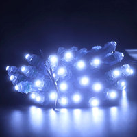 Pixel LED 12V 12mm Monochrome et Pleine Couleur, Étanche IP65, Durée de Vie 30000h, Pour Extérieur
