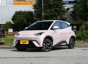 2024 vente chaude mouette pure voiture compacte électrique nouvelle énergie véhicule petite voiture électrique Ev pour BYD - Product Image 3