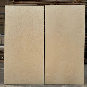 Contrachapado de Abedul Ignífugo Hecho <span class=keywords><strong>a</strong></span> <span class=keywords><strong>Medida</strong></span>, Grado E1, Diseño Residencial Duradero, Panel de Seguridad Contra Incendios, Venta Directa de Fábrica en China - Product Image 4