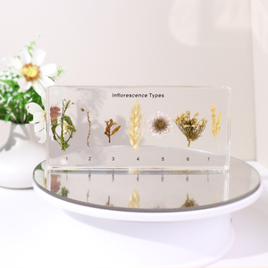 Alta infiorescenza acrilica trasparente tipi di resina campione di insegnamento risorsa per la scuola superiore - Product Image 2
