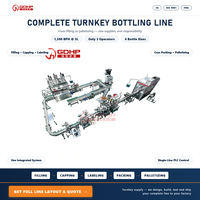 Ligne de production automatique de remplissage de détergent à 8 têtes servo-piston avec capsulage, étiquetage, emballage en carton et palettisation